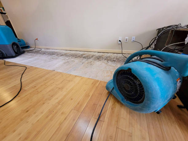 Professional Flood Damage Cleanup technician working in West Hempstead, NY